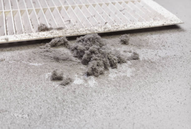 Best Air Duct Cleaning Near Me  in Bayou Blue, LA
