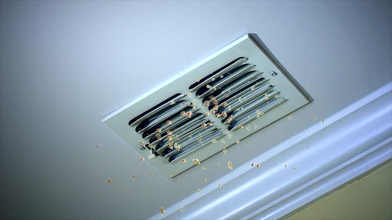 Best Commercial HVAC Duct Cleaning  in Bayou Blue, LA