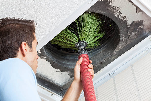 Best Best Air Duct Cleaning Company  in Bayou Blue, LA